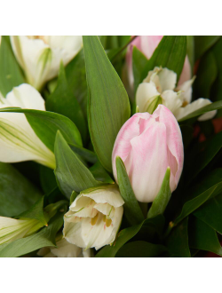 Букет из тюльпанов с альстромерией