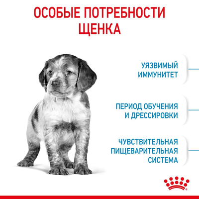 Royal Canin (Роял Канин) Medium Puppy Сухой корм для щенков средних пород собак, 14 кг