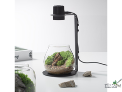 Чаша Пузырь Biolark  FOUR (120мм х 105мм)