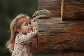 ПАКЕТ "МИНИ ДО 3 ЧЕЛОВЕК"