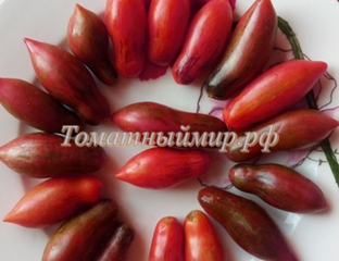 Розовая пантера анто, Гном (Dwarf Antho Pink Panther) 2.jpg - 2019 год - tomat-p