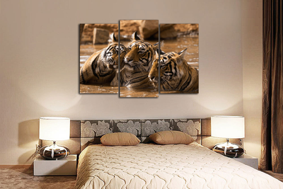 Модульная картина "Тигры в воде"