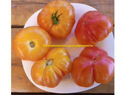 Томат Оаксаканская драгоценность (Oaxacan Jewel)
