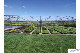 контейнерная площадка. полив спринклерами.