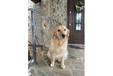 Луна (РЗ Первая Леди), 2 года