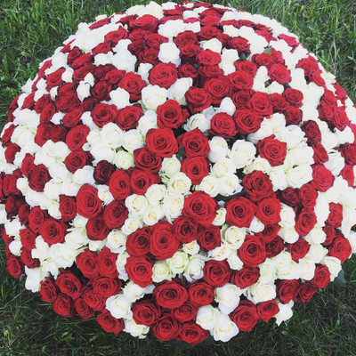 Микс из 201 розы в корзине
