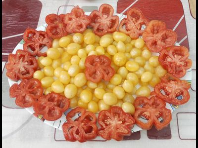 Томат Сумасшедшие вишни Барри (Barry's crazy cherry)