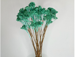 Тысячелистник изумрудный