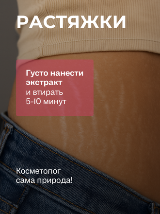 Масляный экстракт хвоща полевого 12 гр.