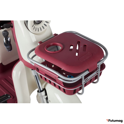 Электротрицикл Rutrike Gelbert Mercury 48V/60V 650Вт бело-красный