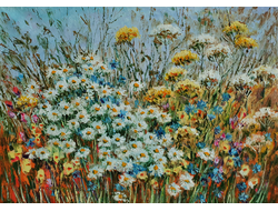 Цветы в поле