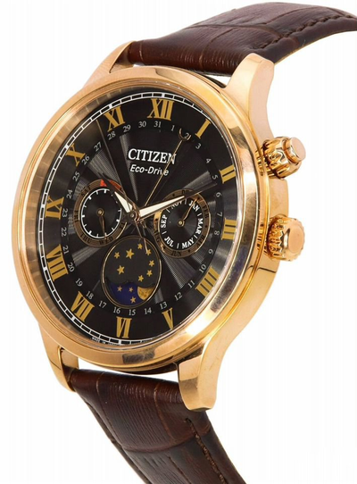 Наручные часы Citizen AP1059-19E