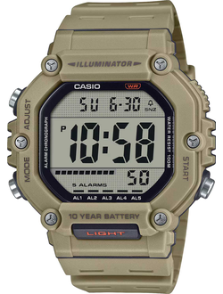 Часы Casio AE-1600H-5A