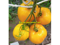 Томат Ваше величество