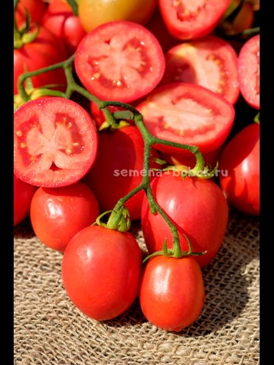 Томат Kecskemét 549 (Кечкемети-549), 10 шт
