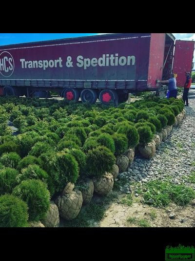 Сетка для кома d500х1,47мм (упаковка 50 шт.) Ромашка