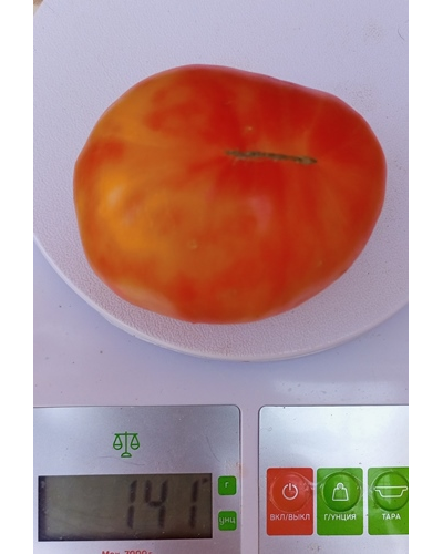 Томат Старый немецкий (Old German)