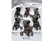 Коляска 2в1 Sweet Baby Orso, Dark Beige (Темный Беж)