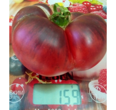 Томат Аметистовая драгоценность, (Amethyst Jewel), Канада