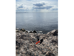 Духи АККОРД: ВОЛНЫ ЛЮБВИ, 5.5 мл