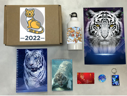 Бокс год Тигра №4