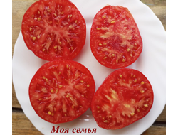 Томат Моя семья