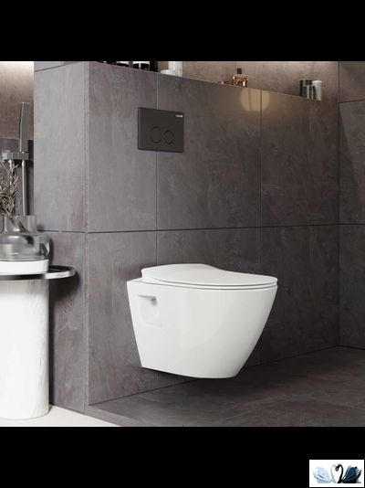 Чаша унитаза Creavit Terra TP325-11CB00E-0000 (TP325.00100), подвесная