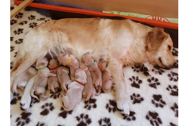 Мы родились!