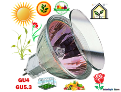 Галогенные фитолампы GU4 / GU5.3