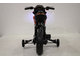 МОТЯ БЕГЕМОТ - детский мотоцикл на аккумуляторе  JT5158  с нагрузкой до 30 кг