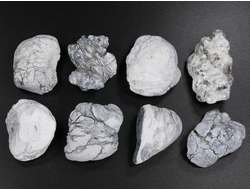 Кахолонг (Опал), желвак цельный в ассортименте, Оренбургская обл. (27-35 мм, 7-10 г) №29428