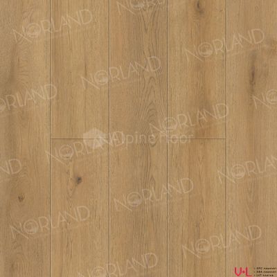 SPC ламинат Norland Sigrid Plus Blake 1006-10