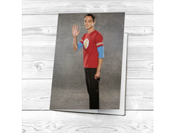 Обложка на паспорт Теория большого взрыва, The Big Bang Theory №12