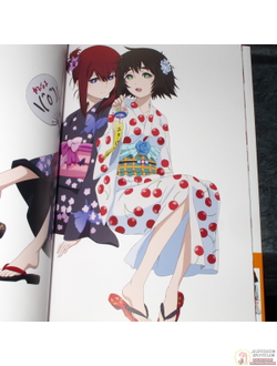 Оригинальный Арт Бук Steins;Gate Soushisouai no True Memories (Врата; Штейна)