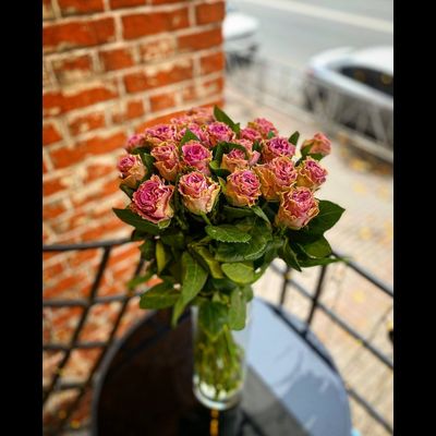 Роза Кения 60 см 25 шт