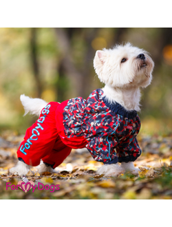 Дождевик Хаки красный