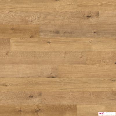 Стеновые панели Haro Дуб River 535625