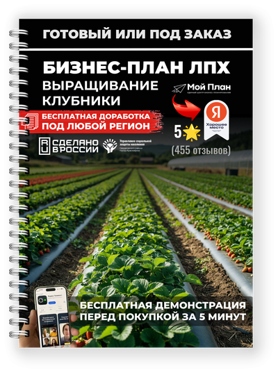 Бизнес-план для ЛПХ: тепличное выращивание клубники