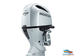 Чехол на капот Хонда 250 л.с.