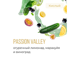 ELEMENT V 25 г. - PASSION VALLEY (ОГУРЕЧНЫЙ ЛИМОНАД-МАРАКУЙЯ-ВИНОГРАД)