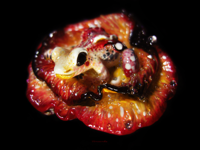 "Пламенная феюшка-лягушка", коллекционная мини-брошь (4 см)