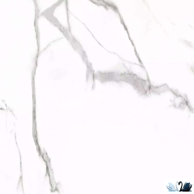 Керамогранит Prime Ceramics Carrara 60x60 см белый матовый