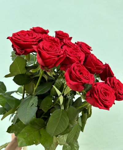 БУКЕТ АЛЫХ РОЗ