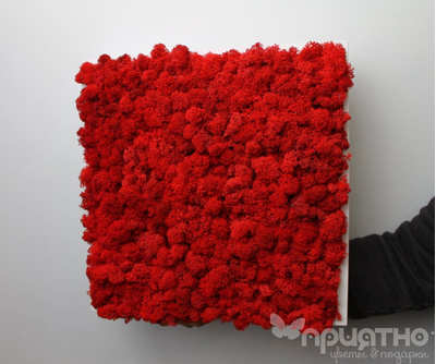 Живая Эко-Картина 1077