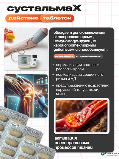 Сустальмакс: нейронные связи и здоровье вен