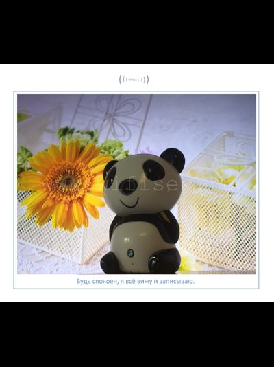 Видеоняня Panda WiFi-LAN видеокамера с DVR , HD (MIPC)