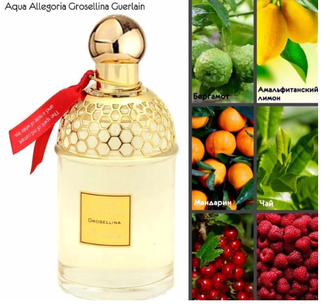 Aqua Allegoria Grosellina Guerlain