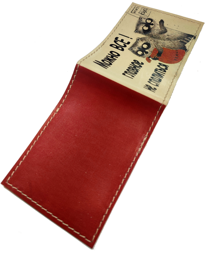 Обложка на студенческий билет с принтом "Можно всё! Главное не спалиться"