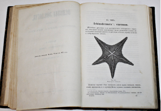 Клаус К. Основы зоологии. М.: Тип. А.И. Мамонтова и К., 1873