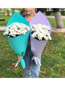 Букет из 7 хризантем